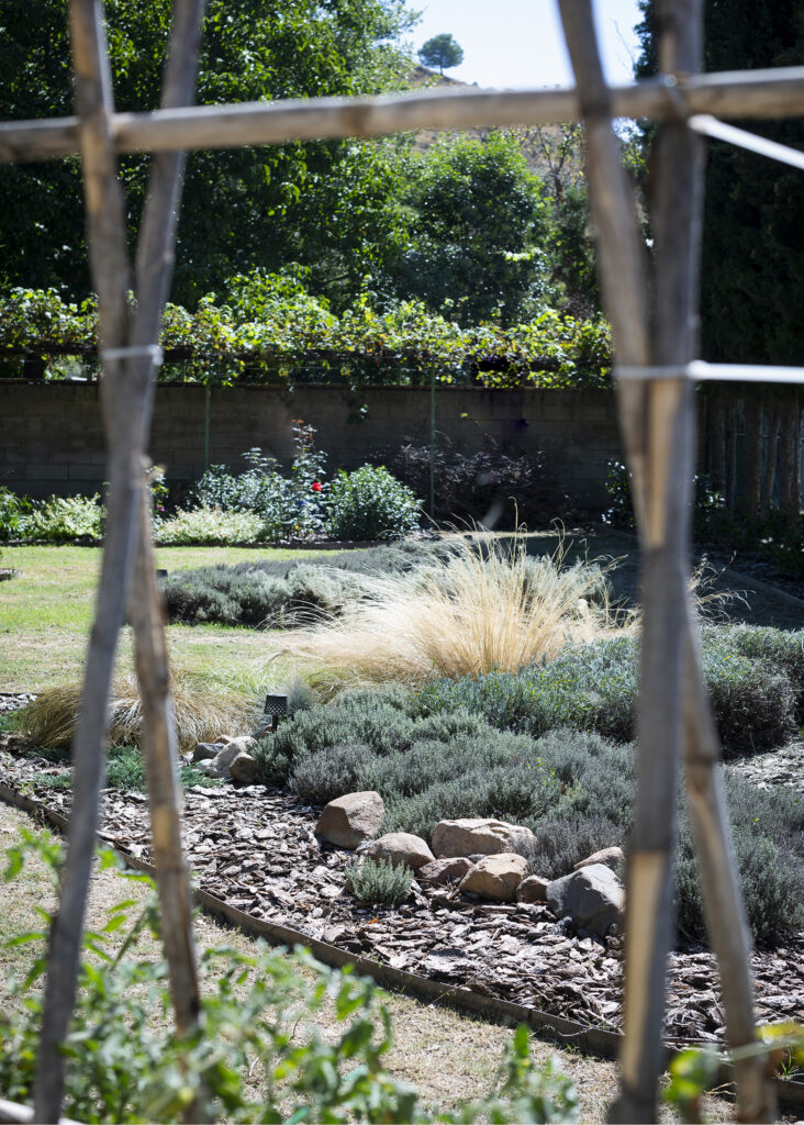 Diseño de jardín en casa de pueblo, Zaragoza